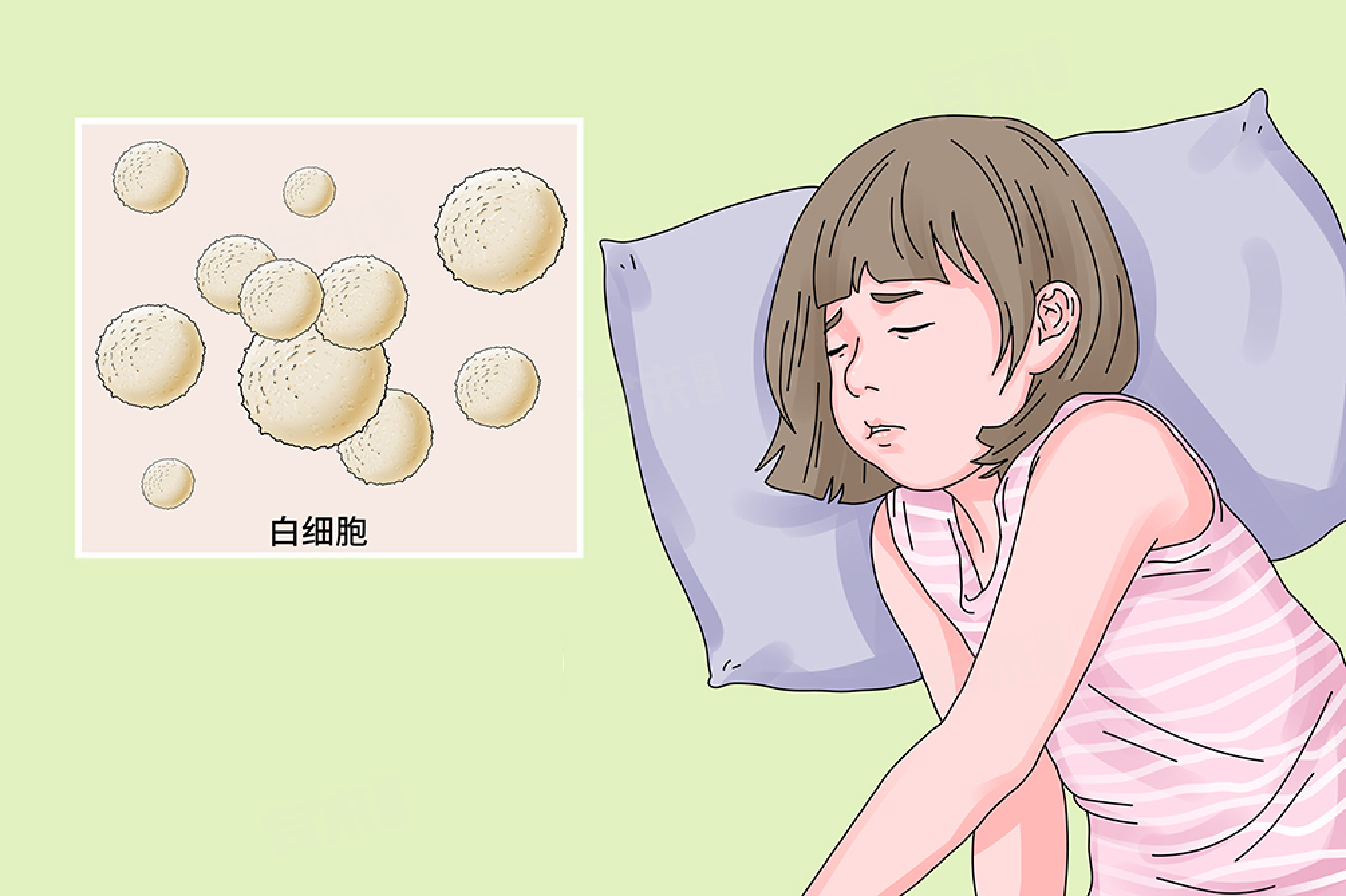 吃什么可以增加白细胞
