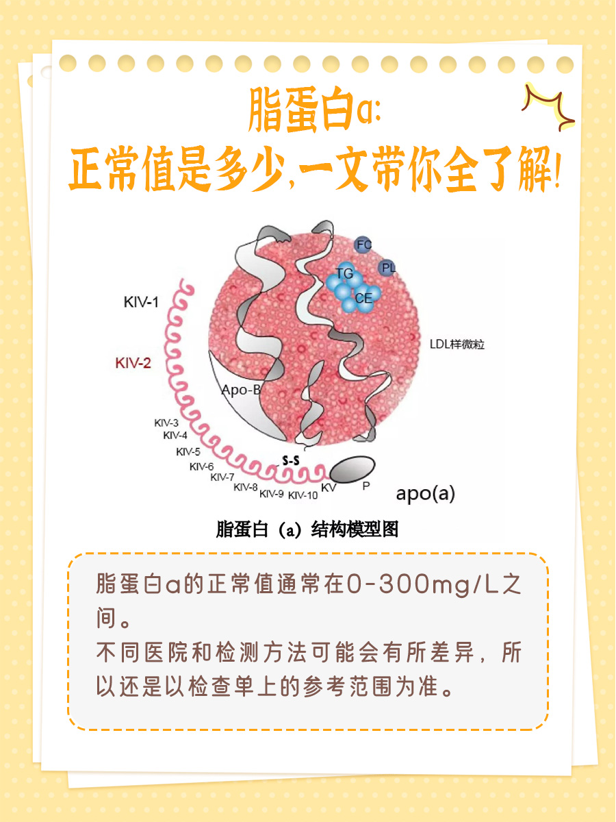 脂蛋白a：正常值是多少，一文带你全了解！