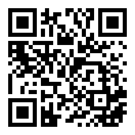 岳殿超