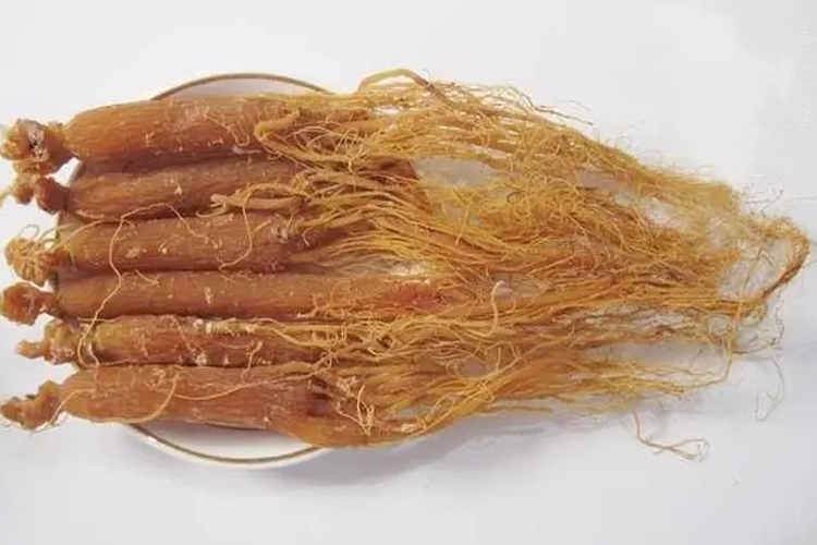 红参药材图