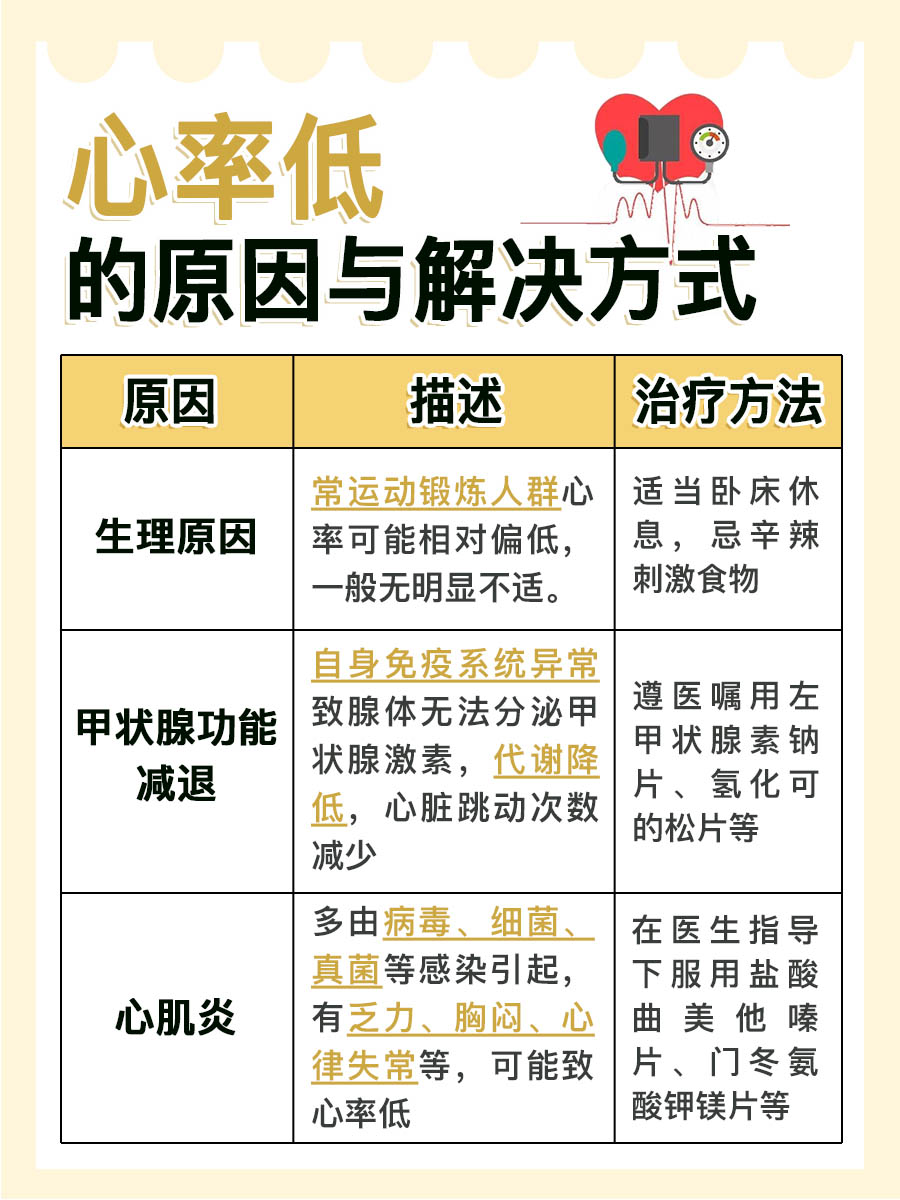 探寻心率低的原因与应对之策