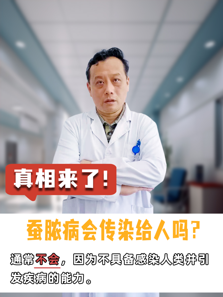 真相来了！蚕脓病会传染给人吗？