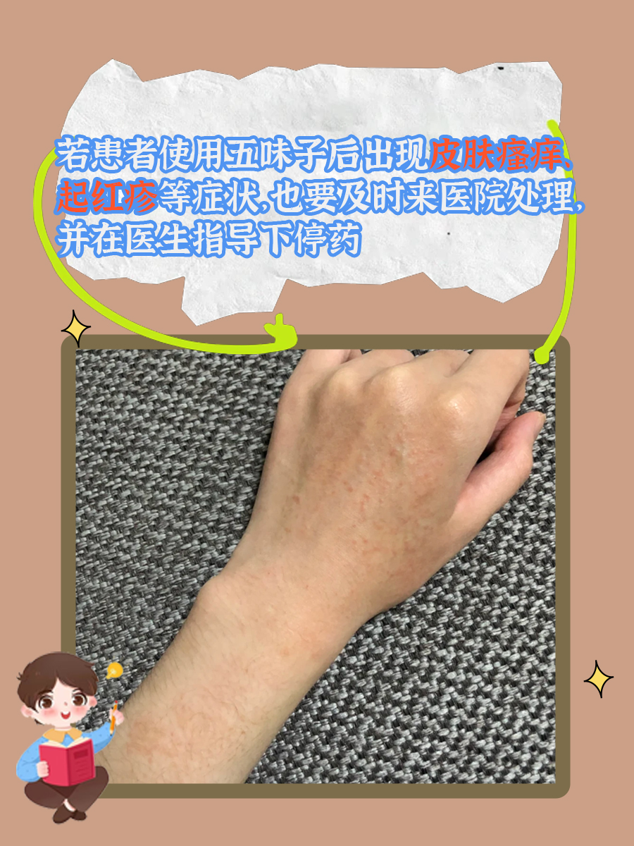 五味子禁忌：不宜与这些中药配伍！