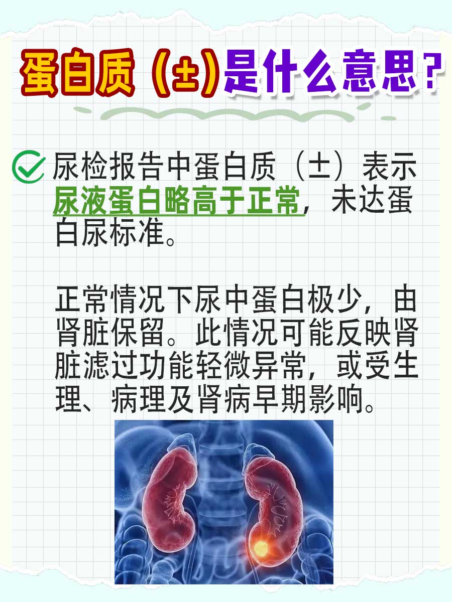 蛋白质(±)是什么意思?揭秘