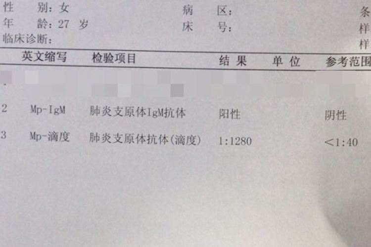 肺炎支原体检测报告图