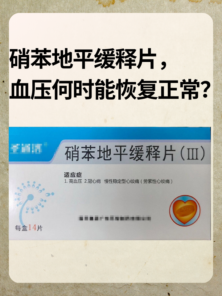 硝苯地平缓释片，血压何时能恢复正常？