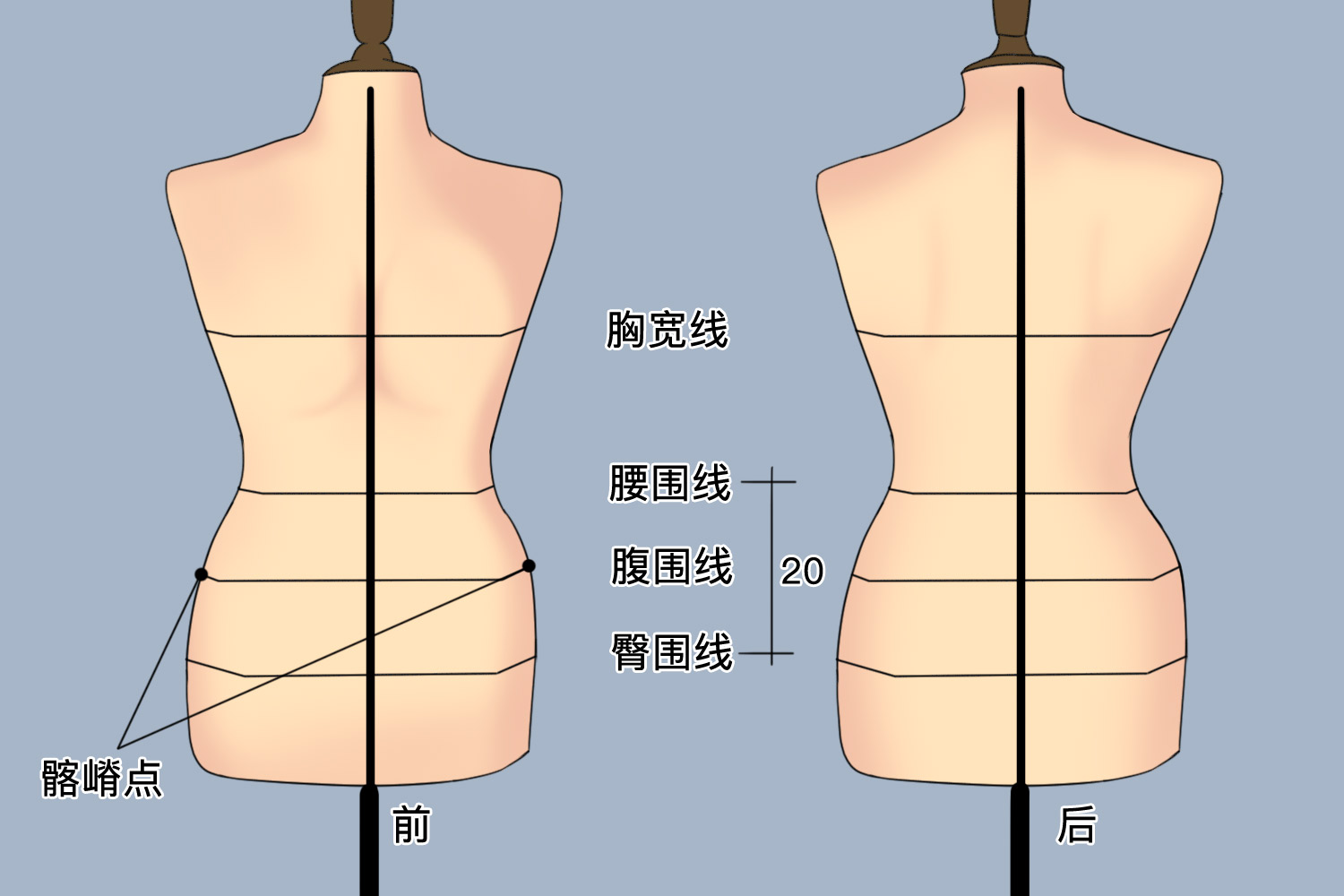 腹围测量图