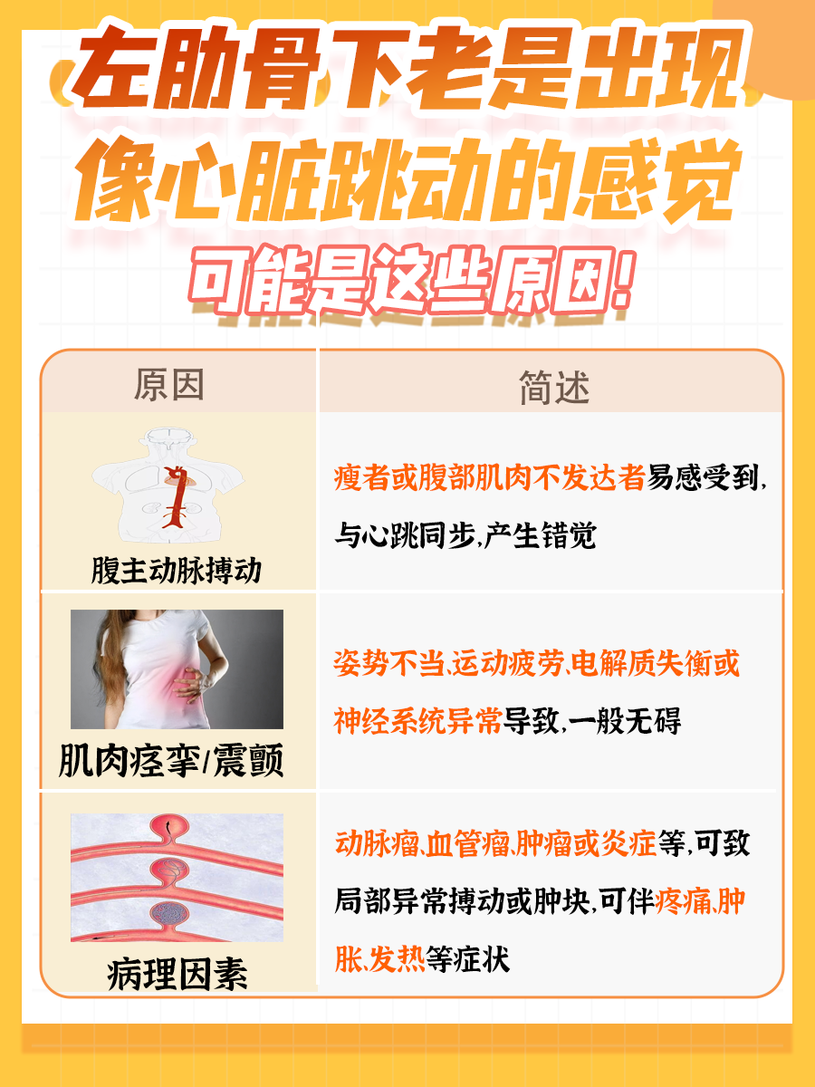 左肋骨下老是出现像心脏跳动的感觉?一文解析!