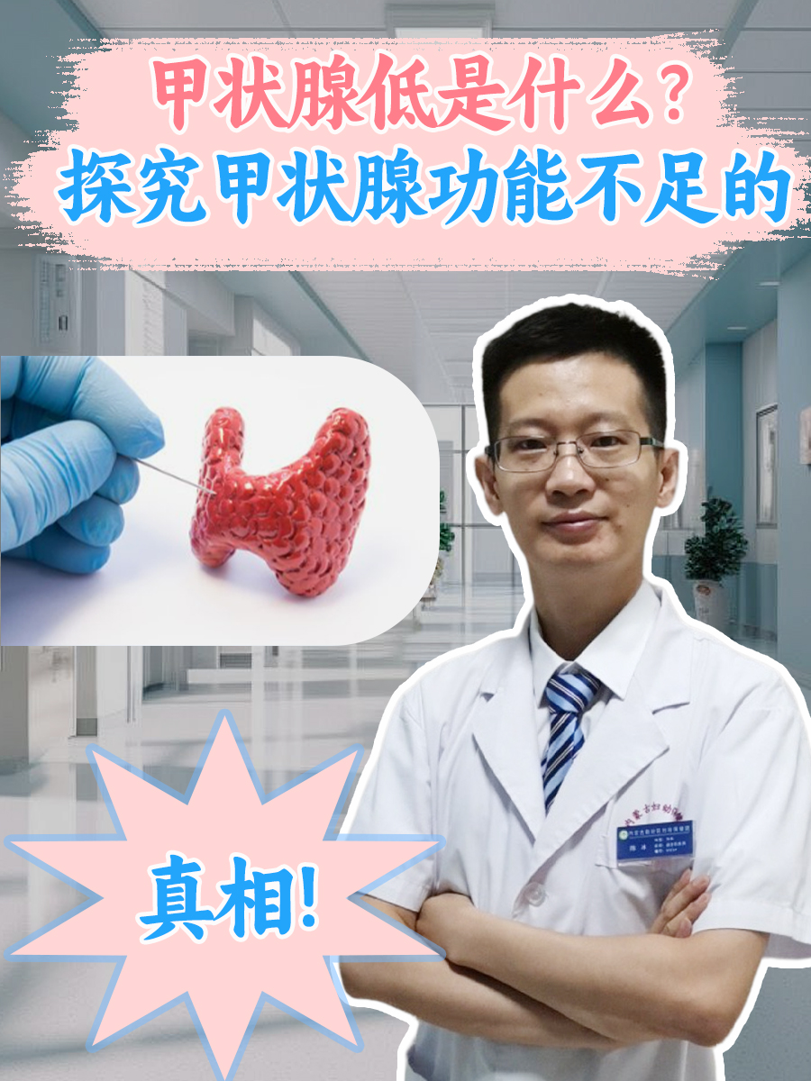 甲状腺低是什么？探究甲状腺功能不足的真相