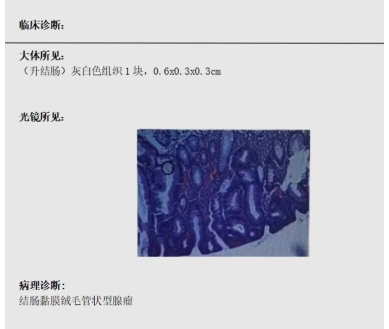 微信图片_2026-05-19_102036_645.jpg