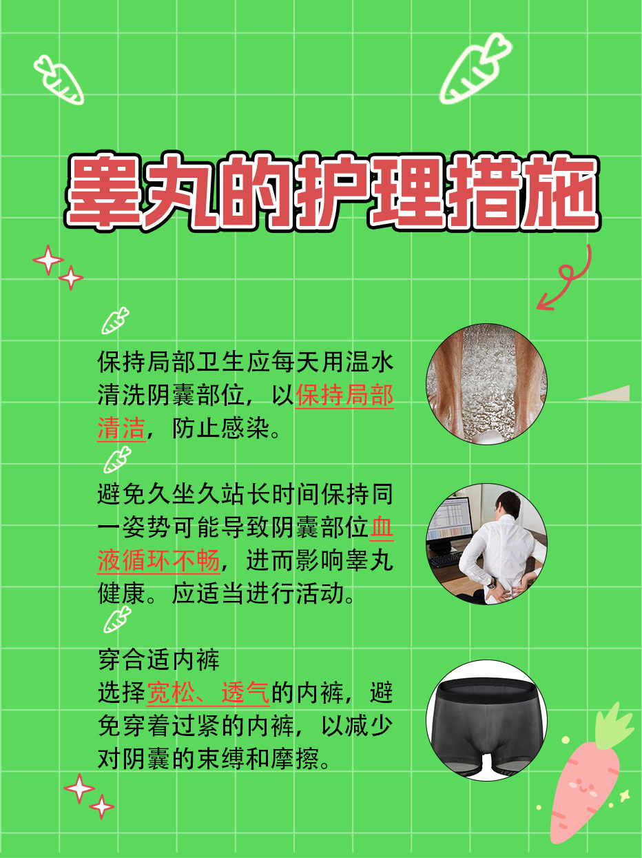 带你了解：男性正常睾丸的样子