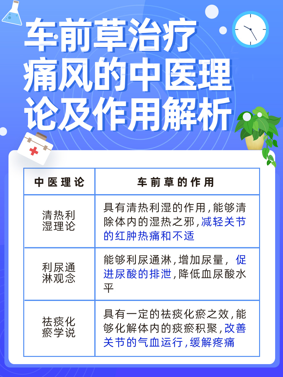 解析：车前草与痛风治疗之间的关系