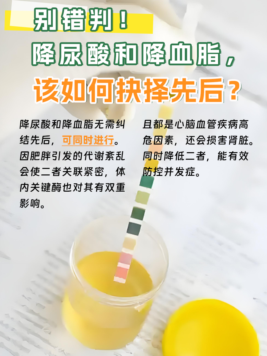 别错判！降尿酸和降血脂，该如何抉择先后？