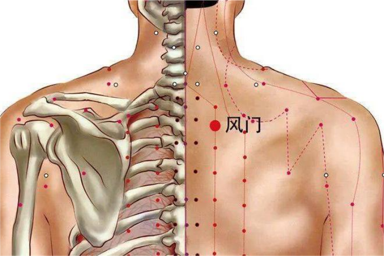 风门穴位置图