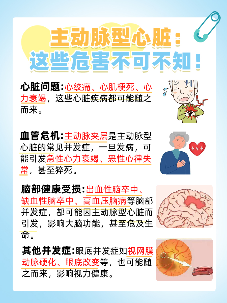 主动脉型心脏表示什么？