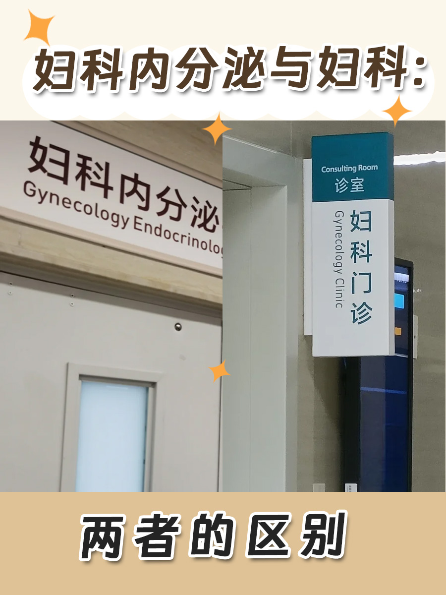 妇科内分泌与妇科：两者的区别