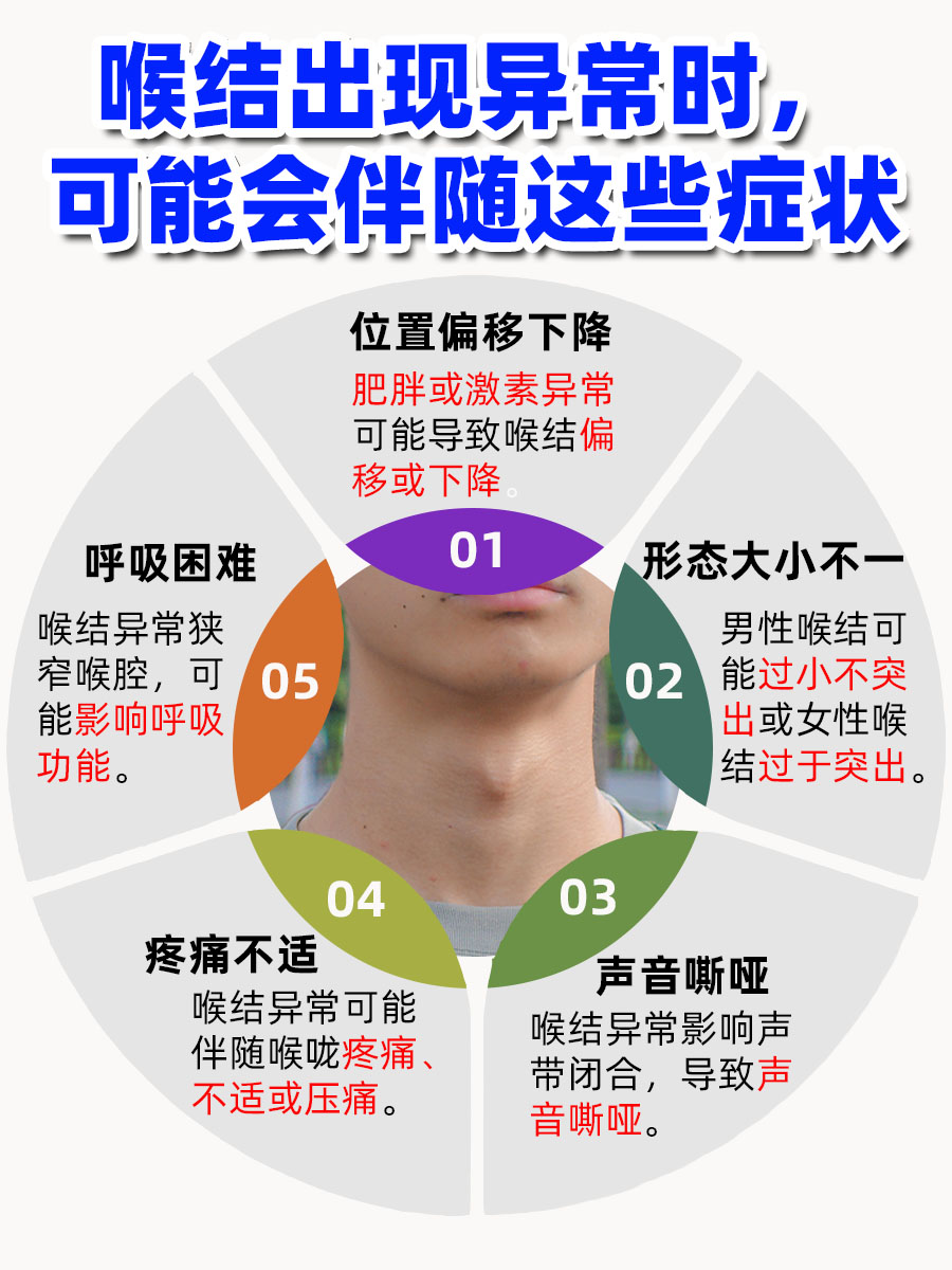 喉结是啥？一篇文章给你讲明白