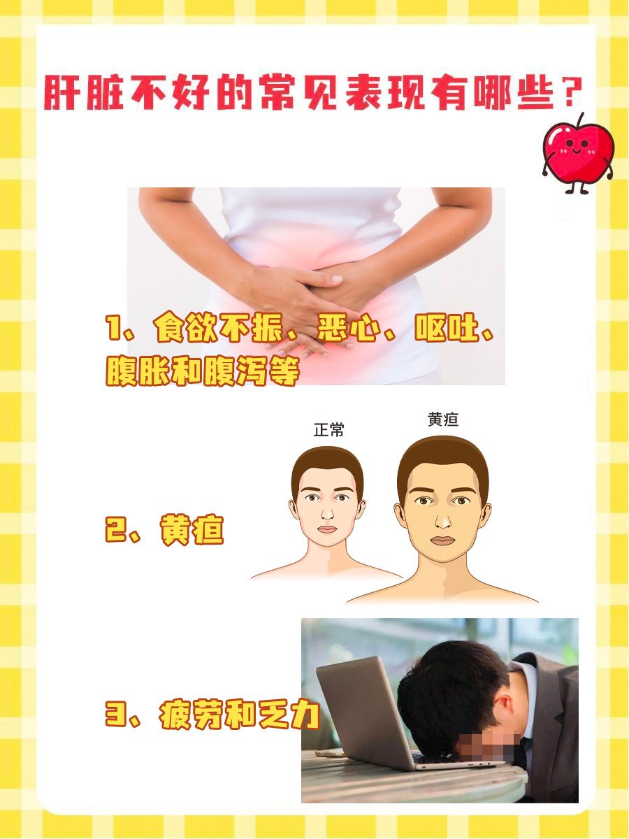 Klosterfrau护肝片效果如何，带你一起深入解析