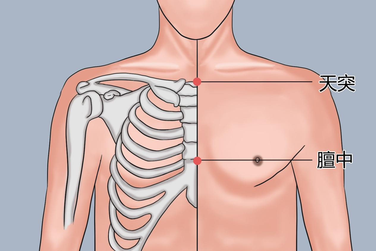 天突穴、膻中穴位置图 天突穴、膻中穴位置图