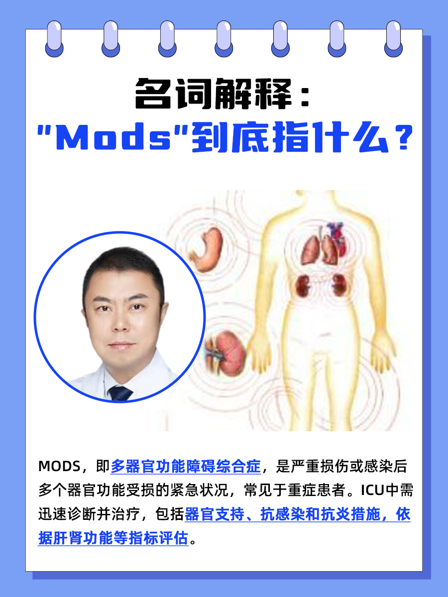 名词解释：“Mods” 到底指什么？