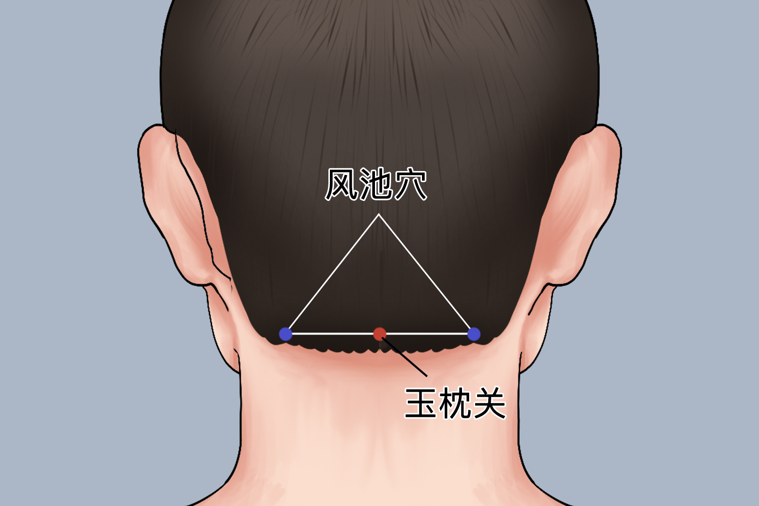 玉枕关位置图 玉枕关位置图