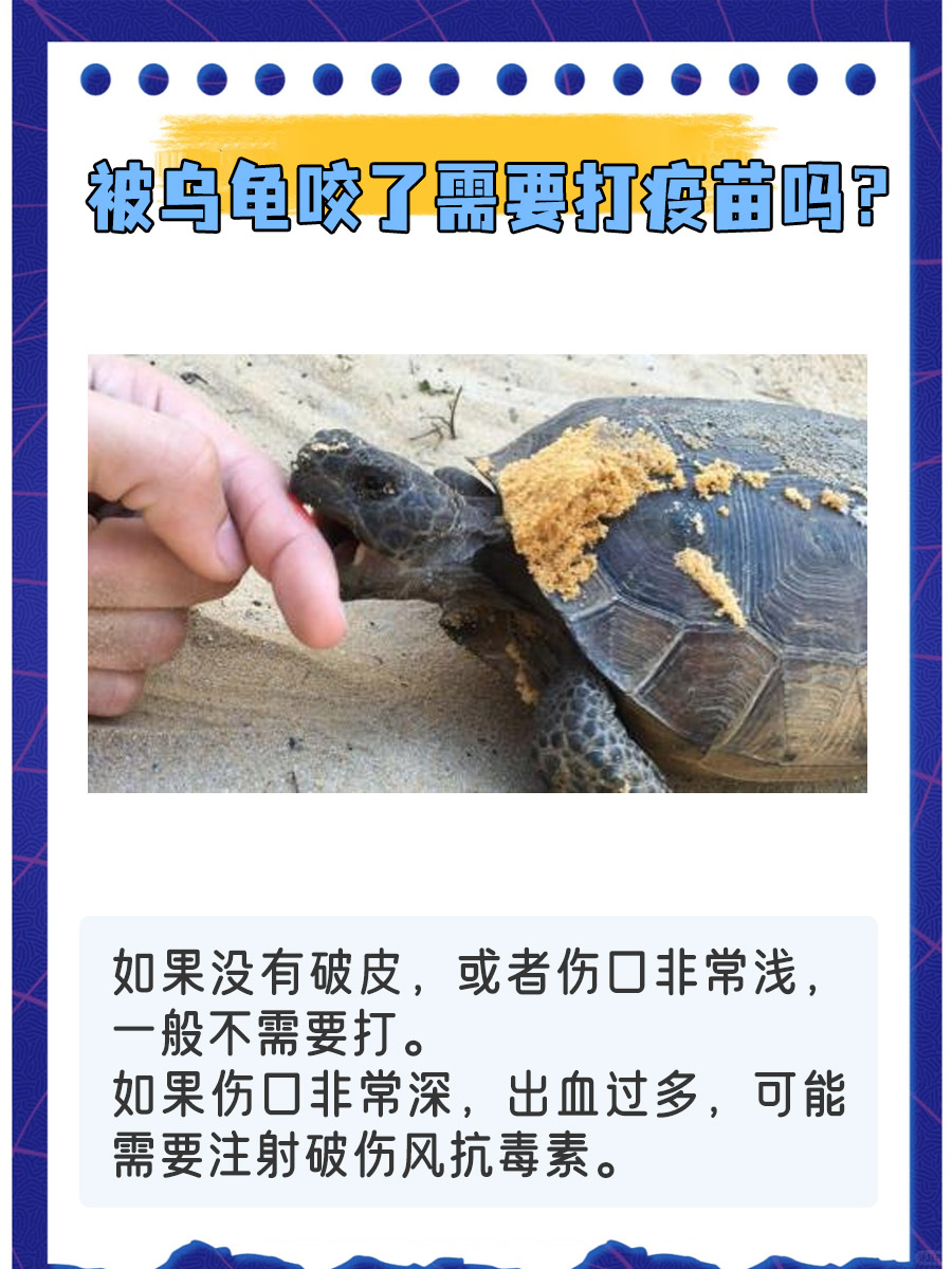 疫苗接种篇|被乌龟咬了需要打疫苗吗？