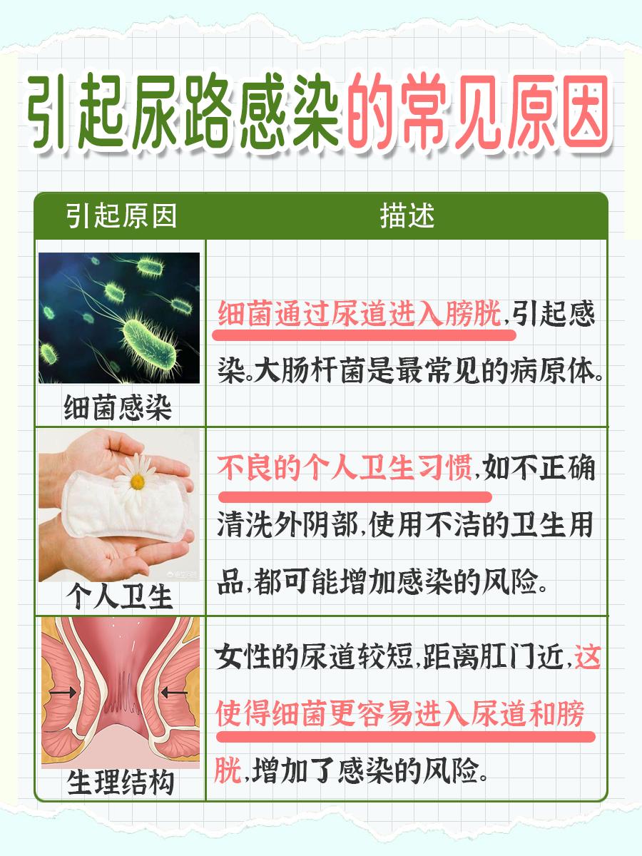了解：呋喃妥因是否能治疗尿路感染？