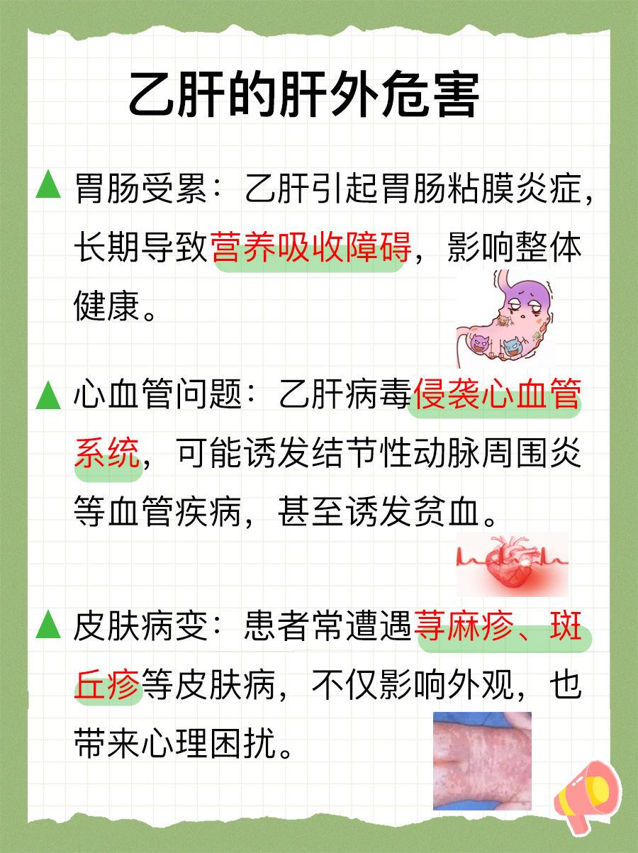 乙肝的危害性深度剖析：从肝脏到肝外
