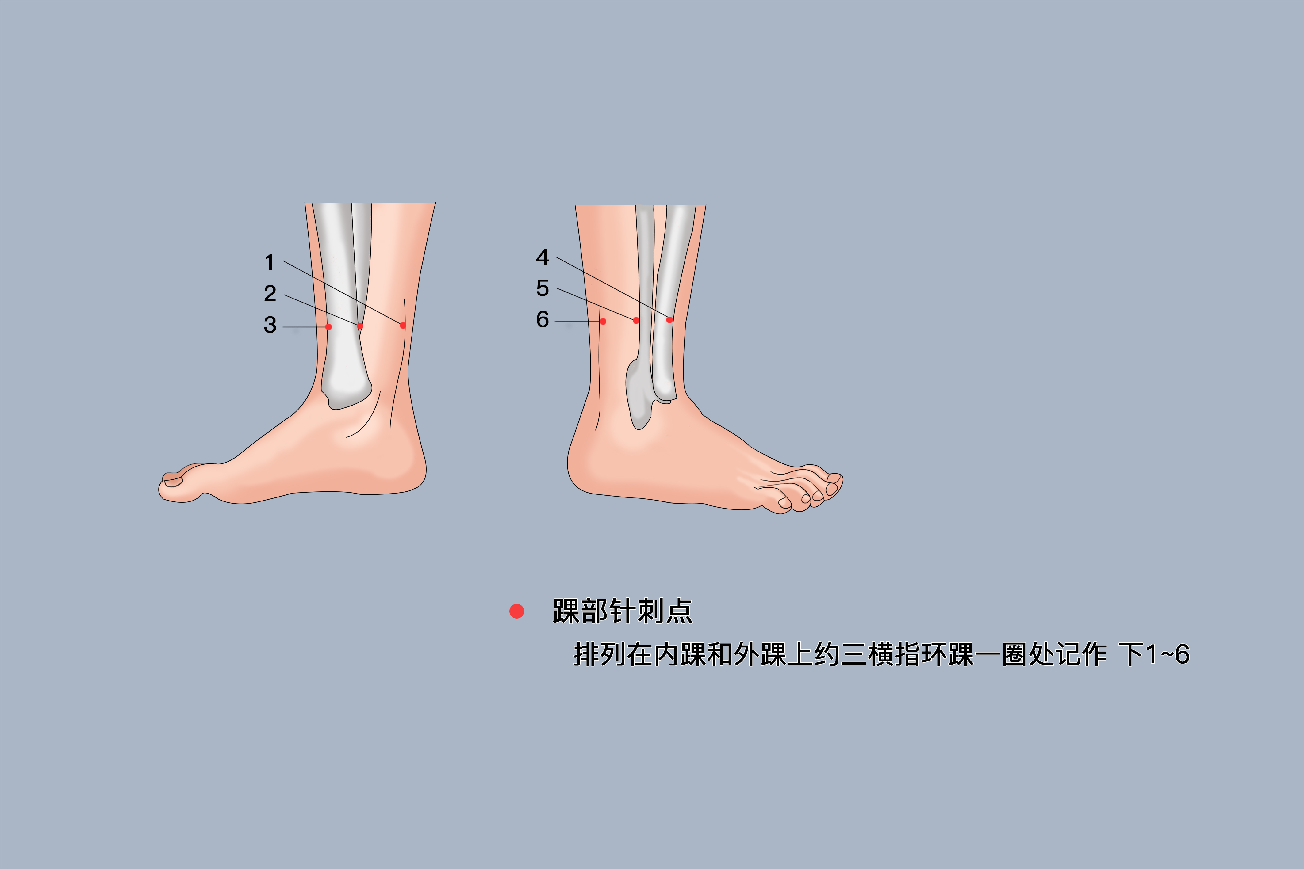 腕踝针法课件图片