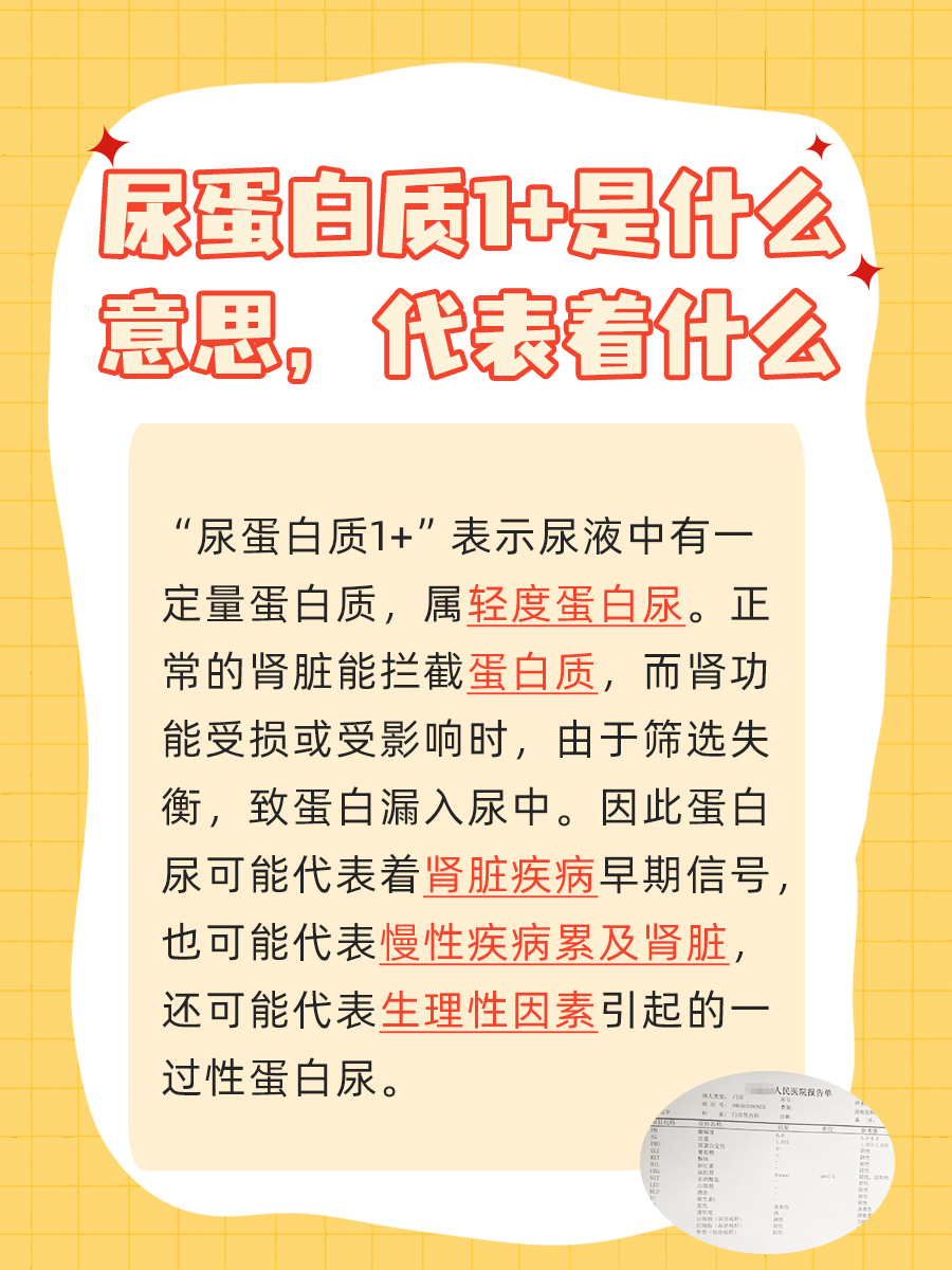 一文解析，尿蛋白质1+是什么意思，代表着什么