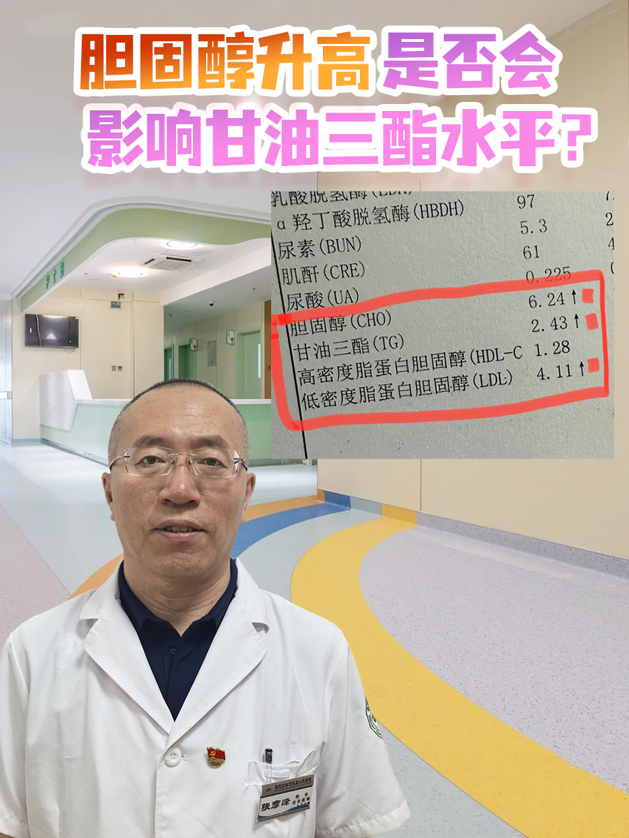 胆固醇升高是否会影响甘油三酯水平？