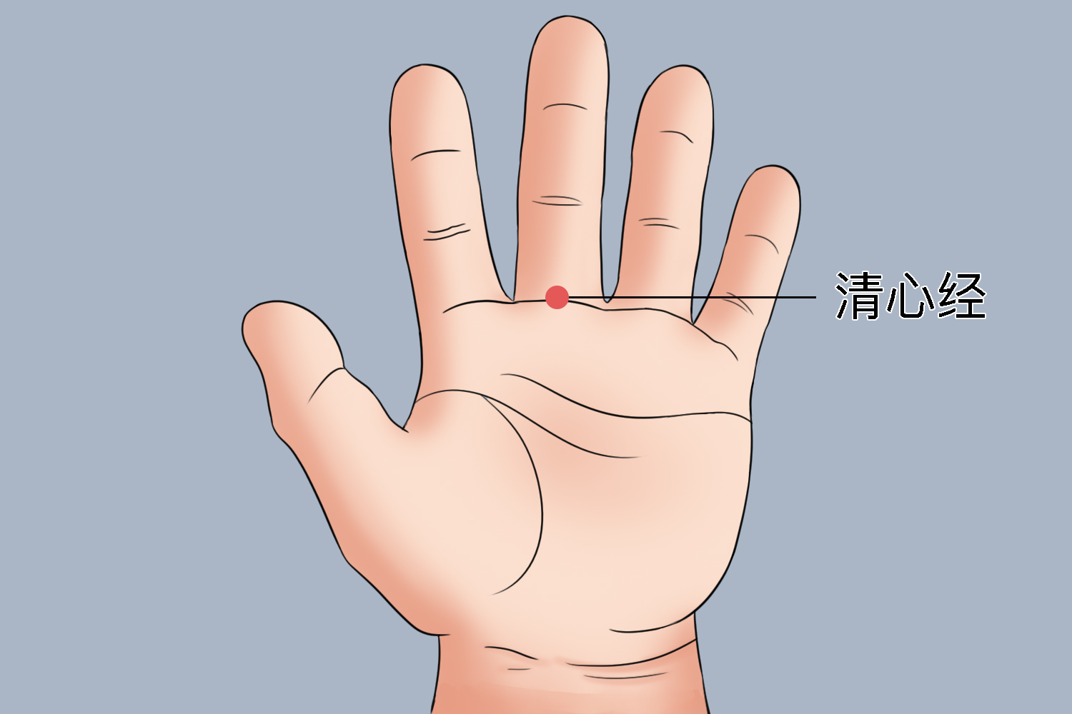 清心经示意图