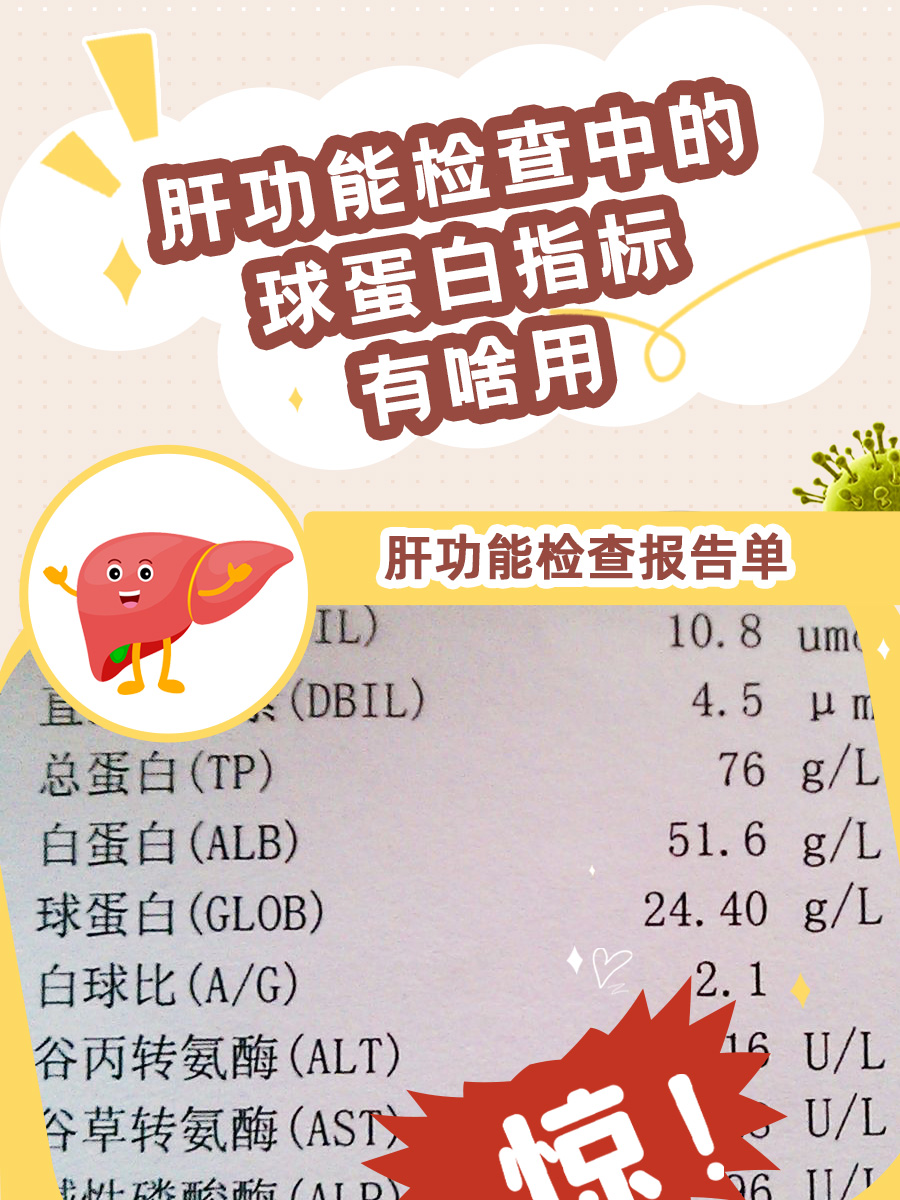 一文读懂｜肝功能检查中的球蛋白指标有啥用？