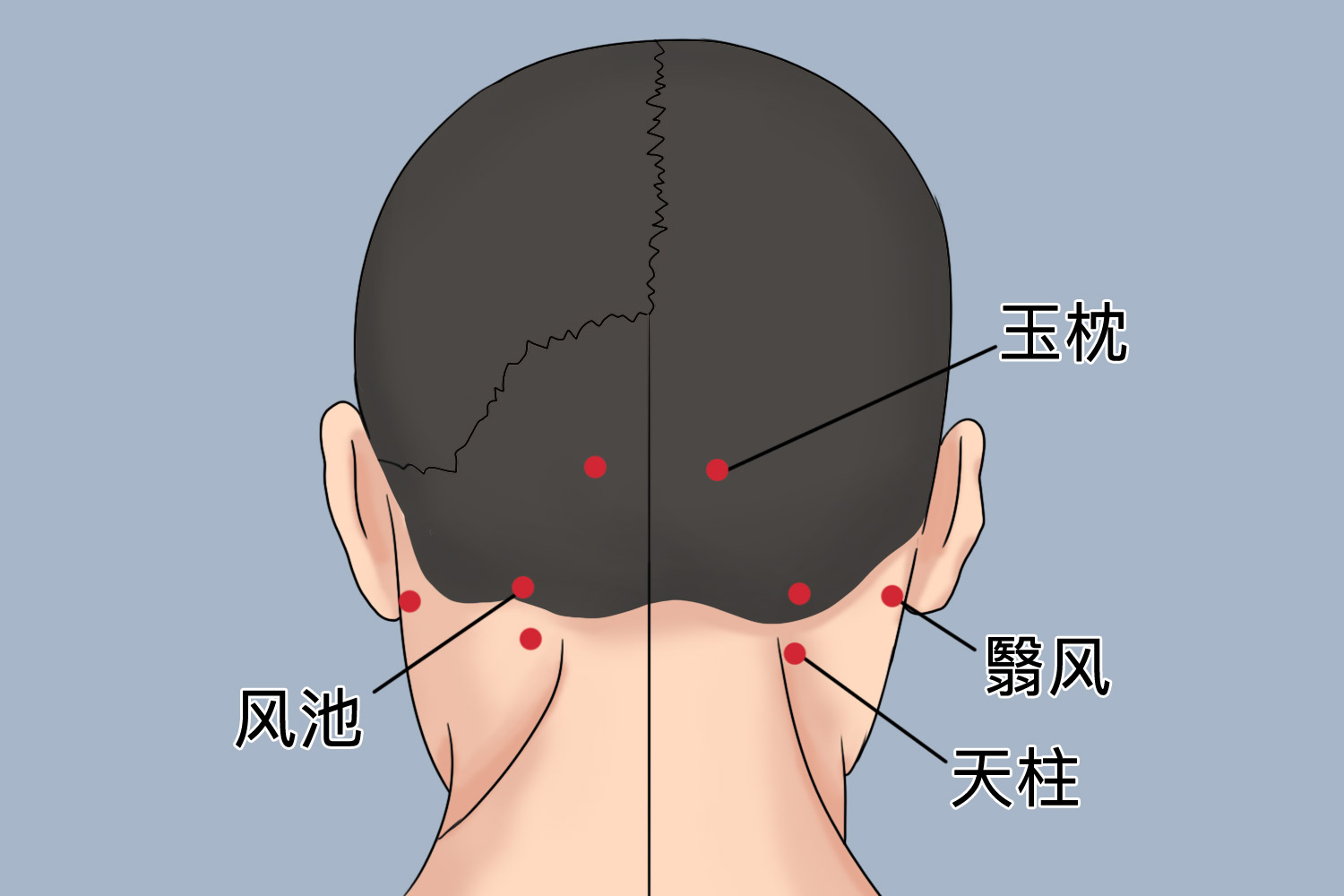 功效与作用针灸头部百会穴、风府穴及玉枕穴具有不同的功效与作用，具体
