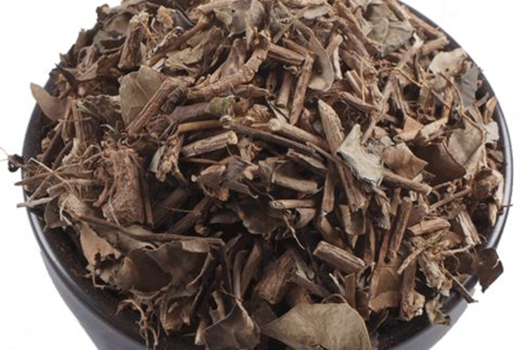 猴仙丹草药图片