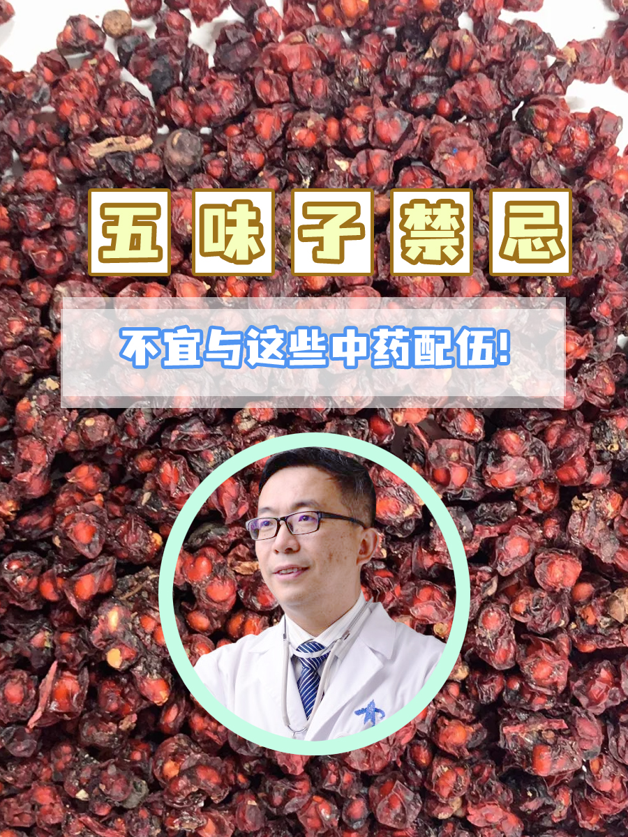 五味子禁忌：不宜与这些中药配伍！