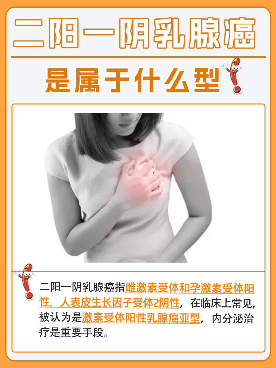 一文解析，二阳一阴乳腺癌是属于什么型
