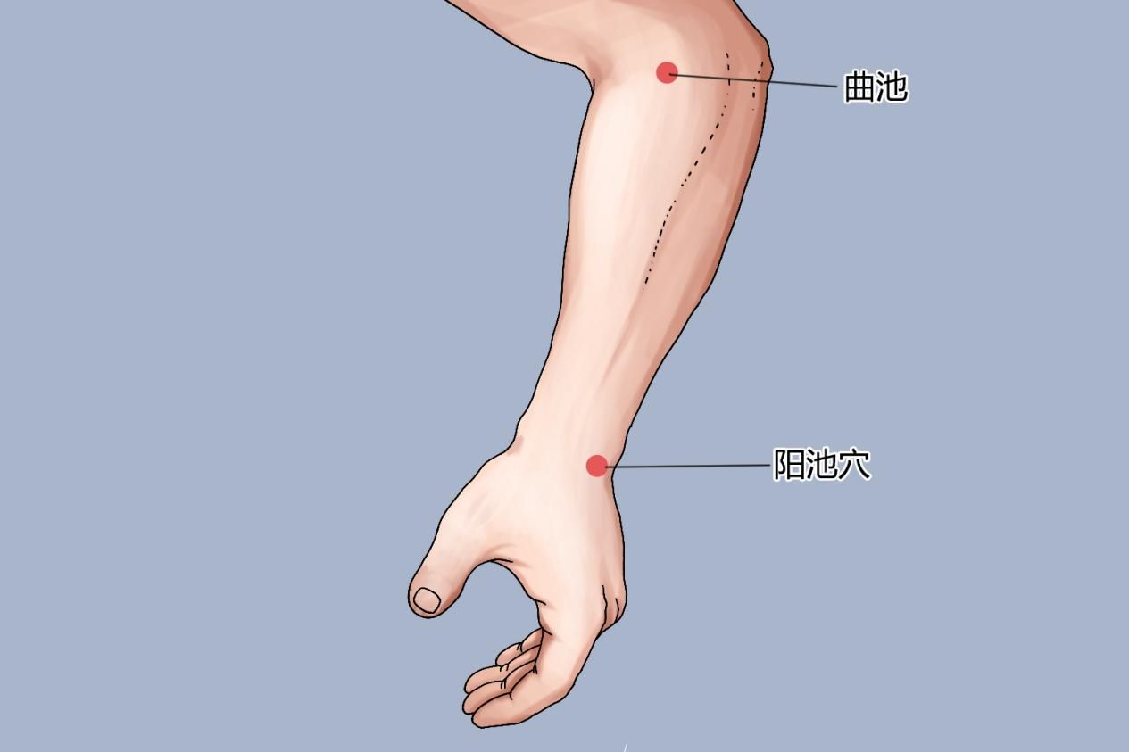 曲池、阳池穴位置图 曲池、阳池穴位置图