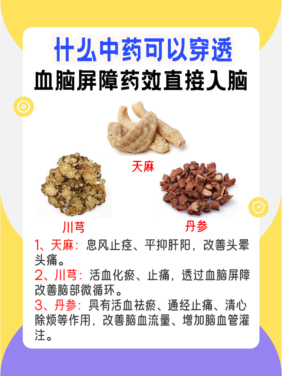 中药入脑，药效直达，哪些中药能穿透血脑屏障？