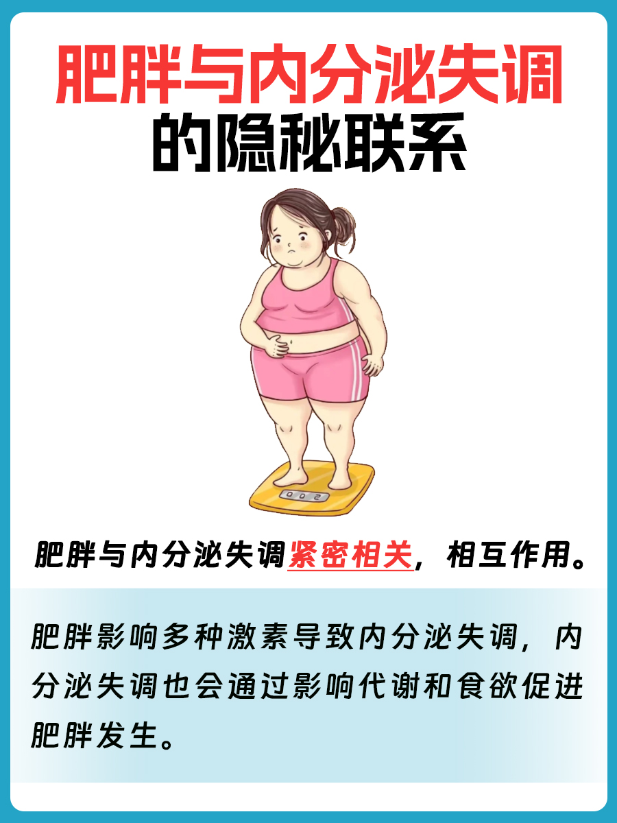 揭秘！肥胖与内分泌失调的隐秘联系
