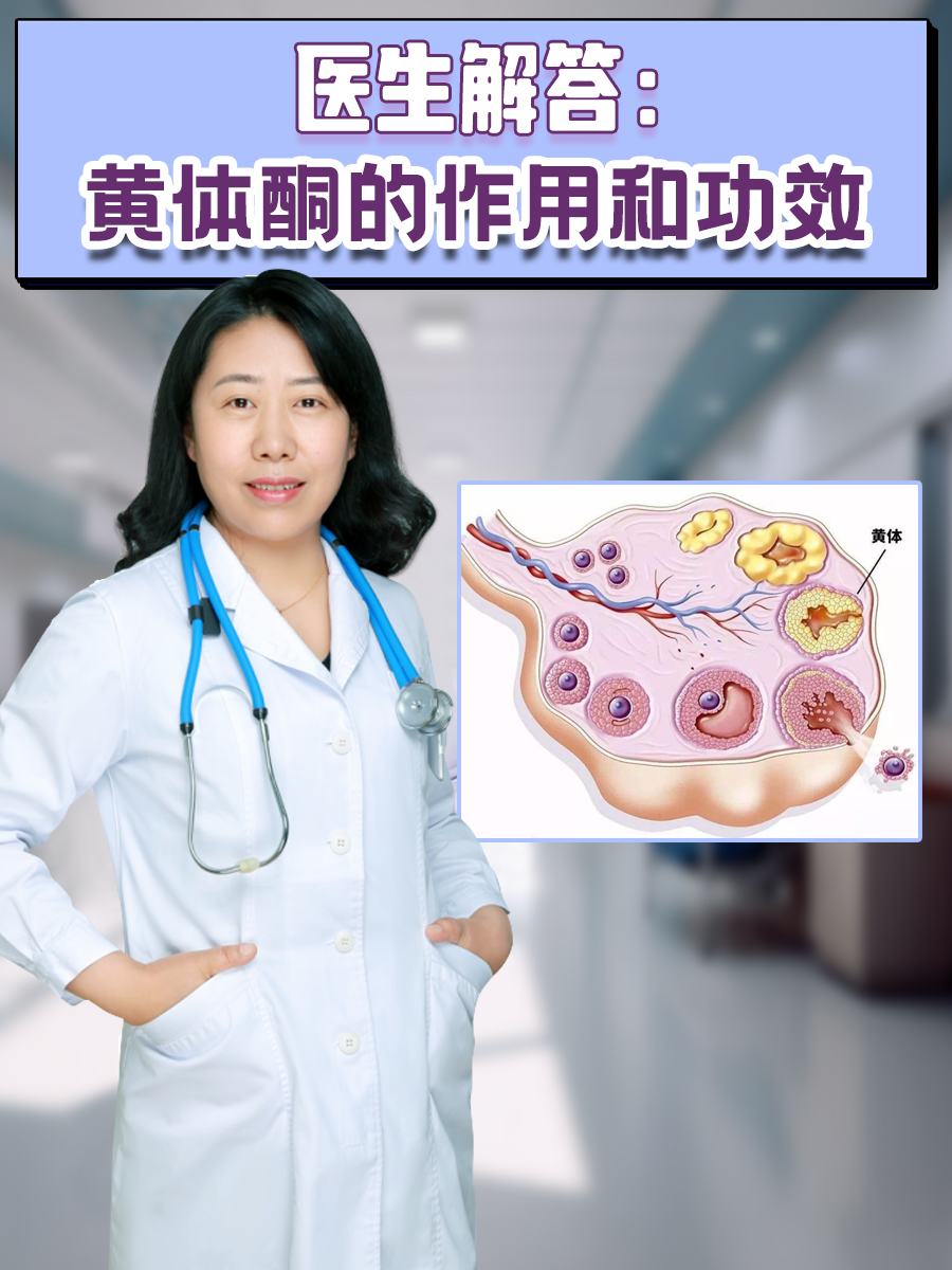 医生解答：黄体酮的作用和功效