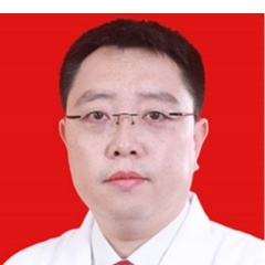 石鑫