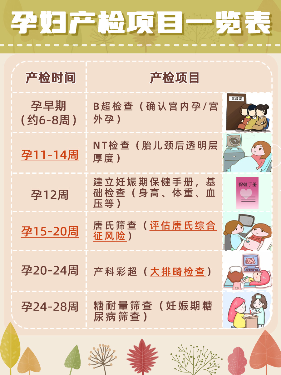 解析NT值0.8mm的意义：是太低了吗？