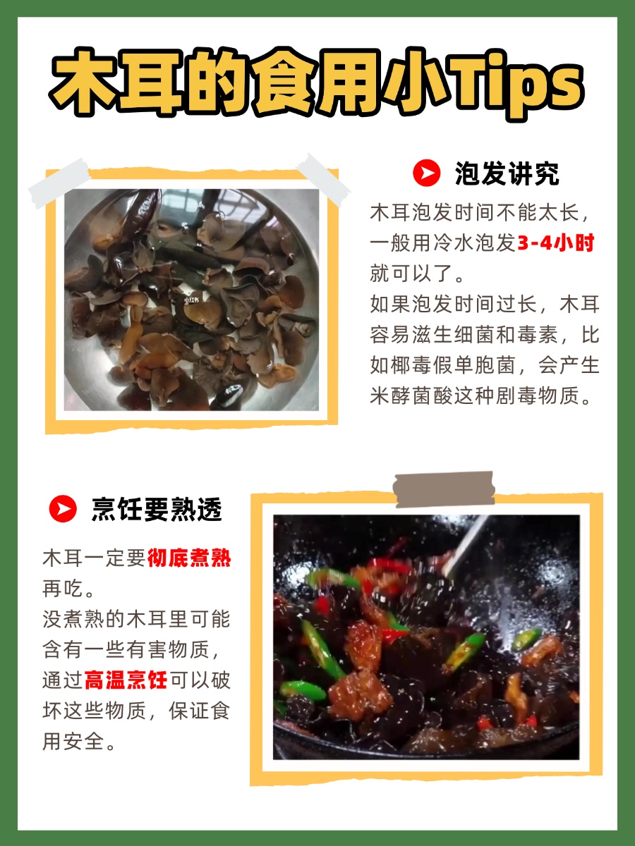 木耳的功效与作用,快来解锁这些“隐藏副本”