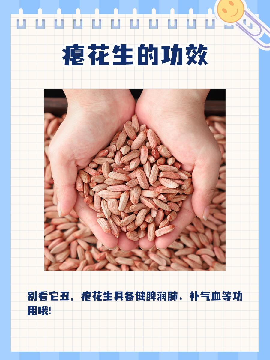 瘪花生的功效与作用，快来了解一下呀！