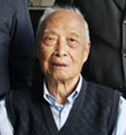 杨泽民