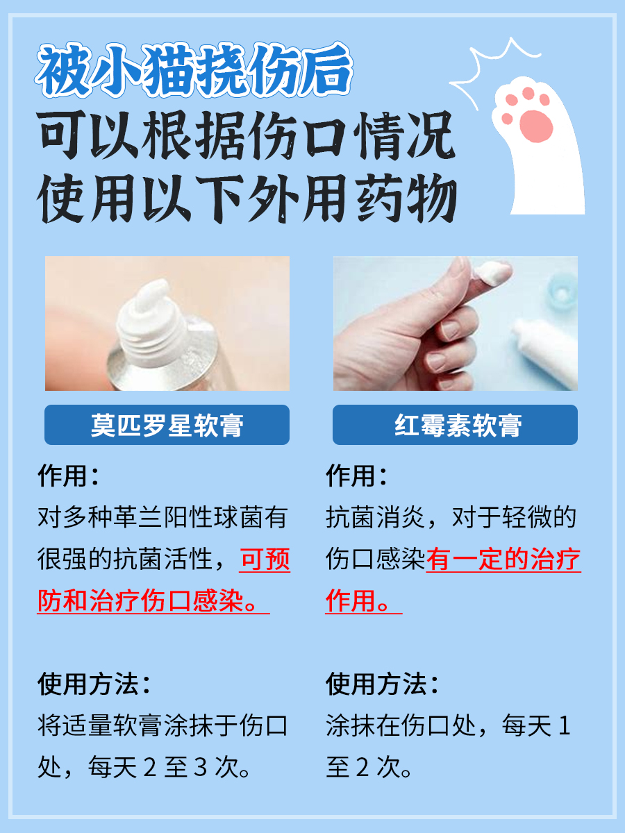 小猫挠伤仅蹭破皮而没有出血，有没有事