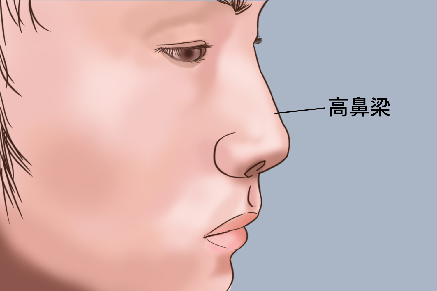 高鼻梁图