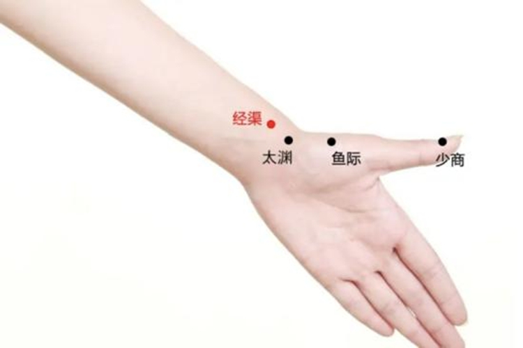 经渠位置图