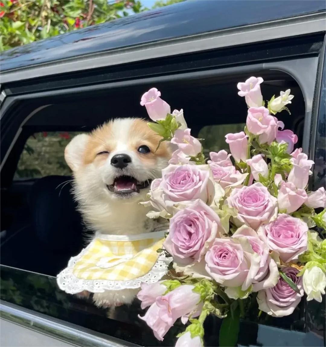 中日友好医院沈明医生怎么样?怎么挂号?